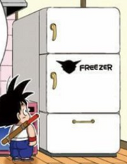 Freezer brand