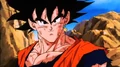 GokuPotara.png (319 KB) Goku