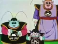 The Kais