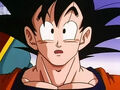 Dbz241(for dbzf.ten.lt) 20120403-17155845