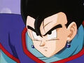 Dbz246(for dbzf.ten.lt) 20120418-20511808