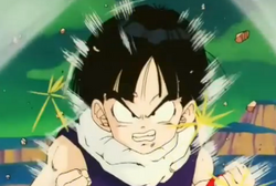 Gohan pg cheap 2.5 s