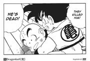 Krillin is murdered