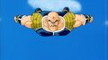 Nappa flying