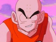 Krillin8