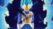 SSBEA Vegeta