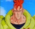 Android16b