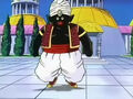 Mr. Popo