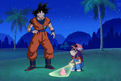 Dragon ball super episode 43 deals