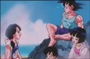 Videl junto a sus suegros en la playa, diez años tras la derrota de Buu