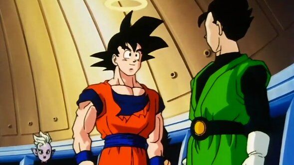 Battle Supreme | Dragon Ball Wiki | Fandom
