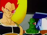 Iru aux cotés d'un soldat inconnu.