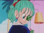 Scouter bulma2