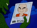 Tambourine looking at Krillin's fighter profile