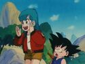 Bulma reviing what the pill does