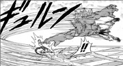 Frost using Dragonthrow on Hyssop (manga)