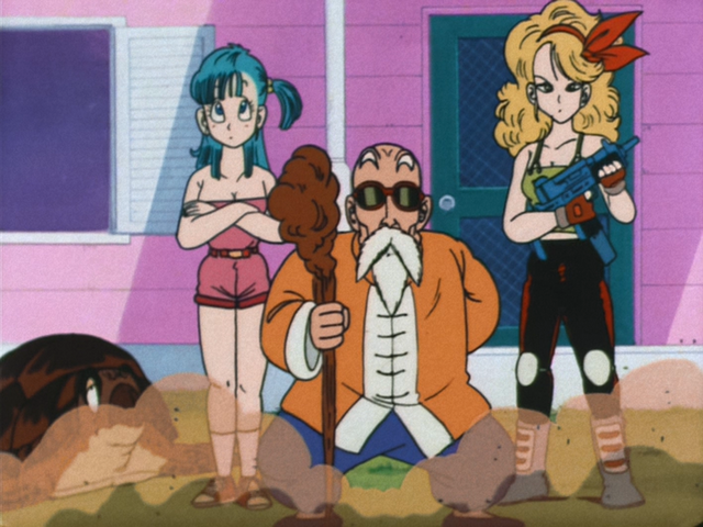 master roshi and launch