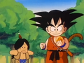 Goku vows to use the Dragon Balls to bring Bora back