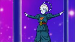 Image Trissnew Png Great Multiverse Wiki Fandom Powered - Dragon Ball Super  Grand Priest Png, Transparent Png - 576x1077(#6857394) - PngFind