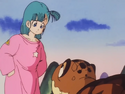 Turtle tells Bulma that he's lost