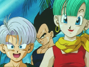 Vegeta, Bulma, and Trunks