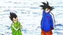 Goku and Vegeta in their winter gear