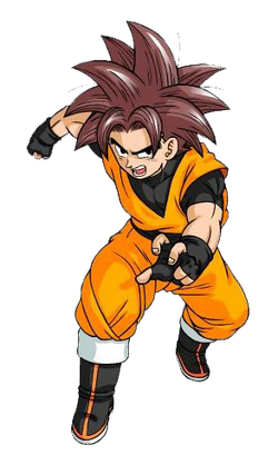 Son Goku Turtle Gi (+)