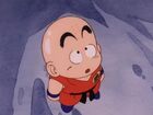 Krillin looking at Nam