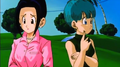 Chi-Chi and Bulma think of Goku's absence