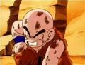 Krillin