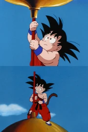 The main purpose of the Power Pole