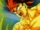 Supersaiyano Falso
