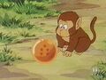 A monkey finds the Six-Star Dragon Ball