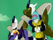 Bulueberry transportant Bulma.