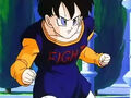 Dbz241(for dbzf.ten.lt) 20120403-17120176