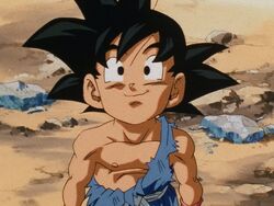 Until We Meet Again, Dragon Ball Wiki