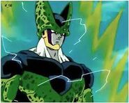 Cell Tomi