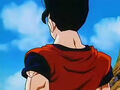 Dbz248(for dbzf.ten.lt) 20120503-18212875