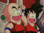 Krillin and Goku