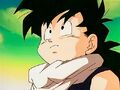 Gohan