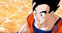 Gohan062