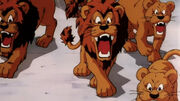 Leone