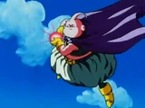 Majin Buu Saga