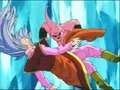 West Supreme Kai confronts Buu