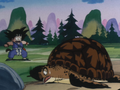 Goku shocked by the turtle
