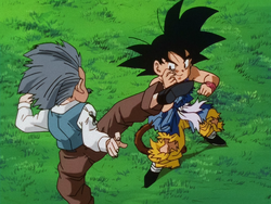 Until We Meet Again, Dragon Ball Wiki