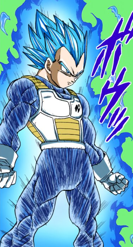 In the manga,both Goku and Vegeta have perfected Super Saiyan Blue