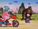 Bulma decides to join Goku, seeing that she can not survive without him