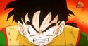 Gohan is angry