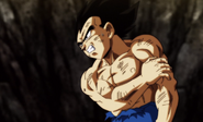 Vegeta late dbs.png (1.99 MB)